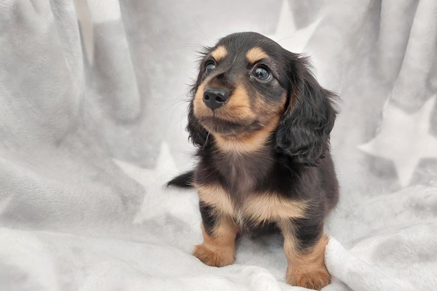 ����å��ǲ�����ɽ��