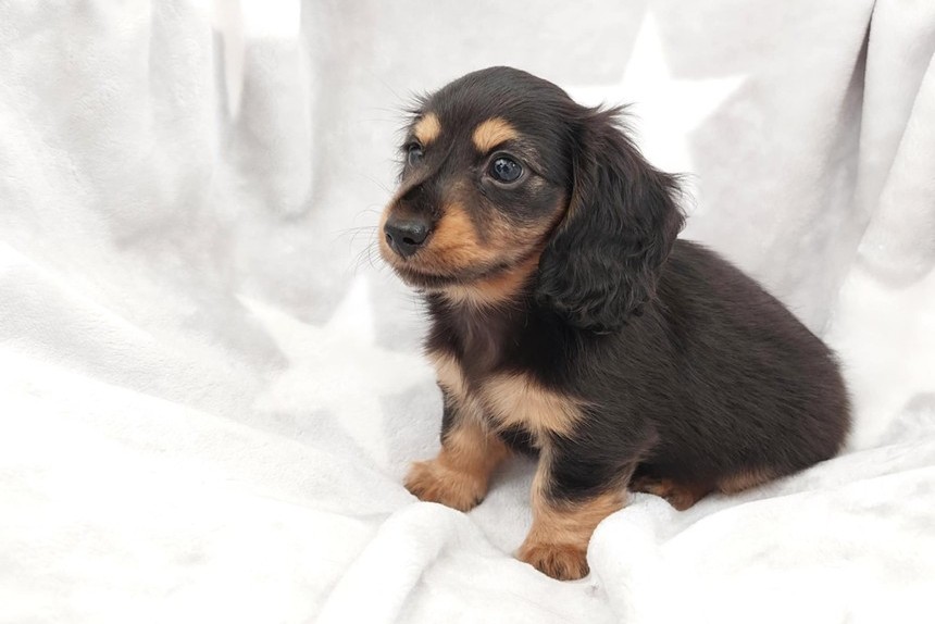 ����å��ǲ�����ɽ��