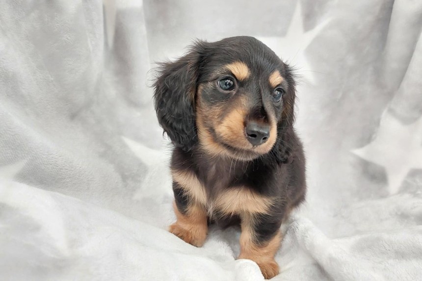 ����å��ǲ�����ɽ��