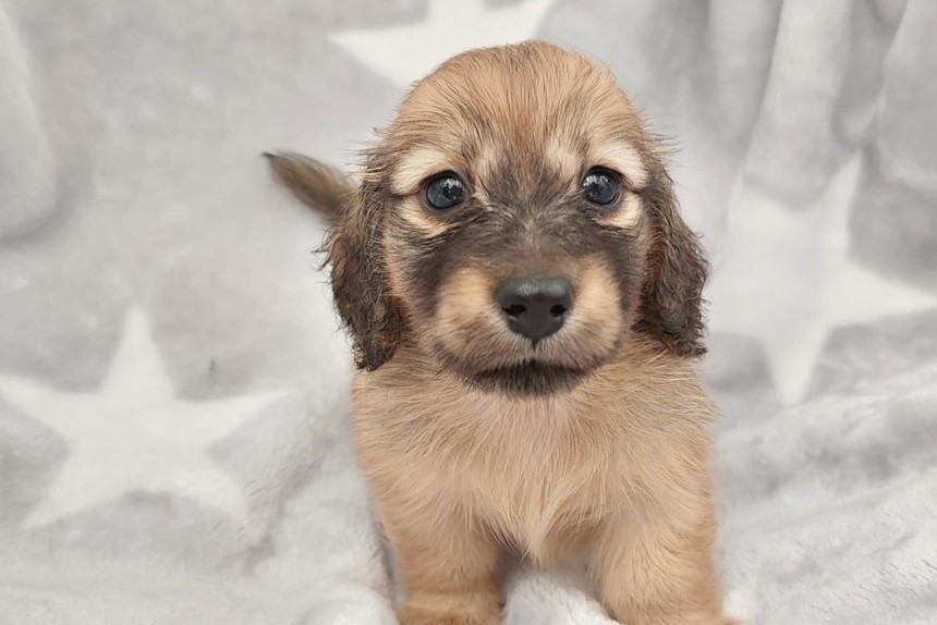 ����å��ǲ�����ɽ��