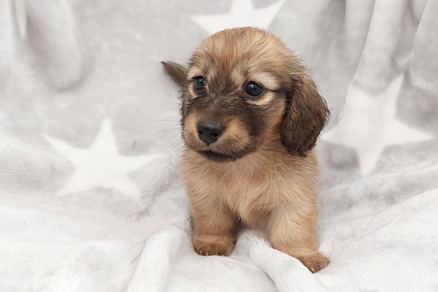 ����å��ǲ�����ɽ��