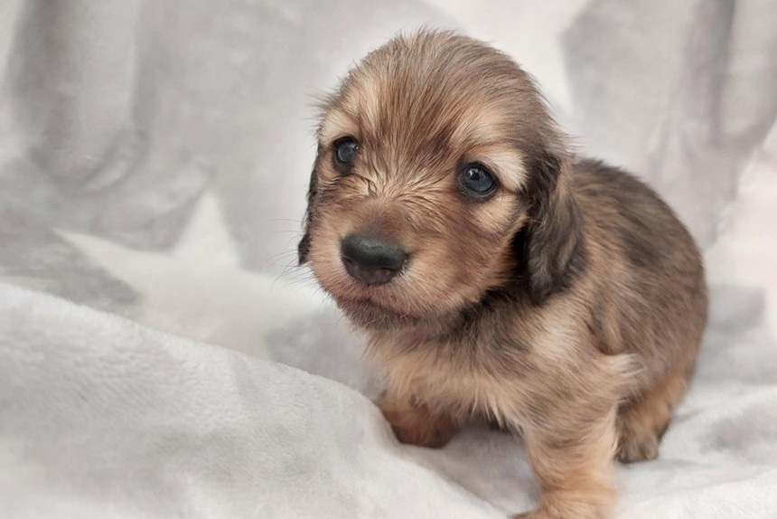 ����å��ǲ�����ɽ��