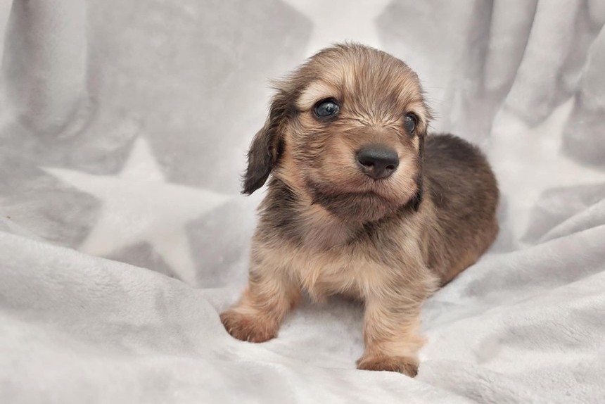 ����å��ǲ�����ɽ��