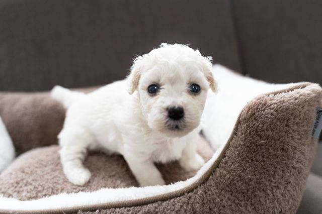 ����å��ǲ�����ɽ��