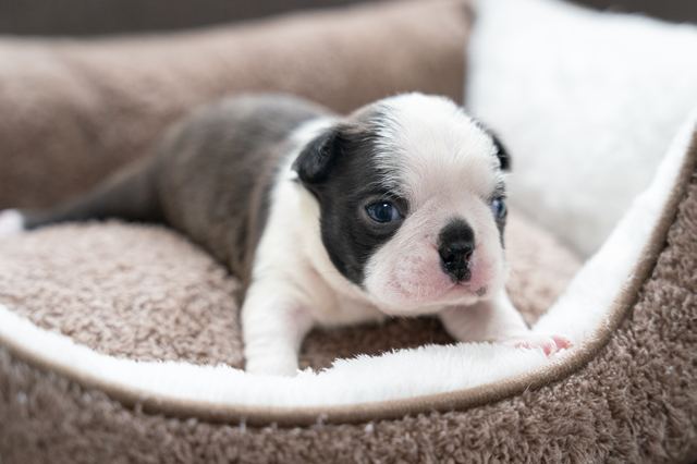 ����å��ǲ�����ɽ��