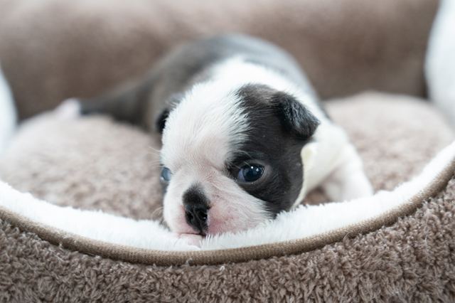 ����å��ǲ�����ɽ��