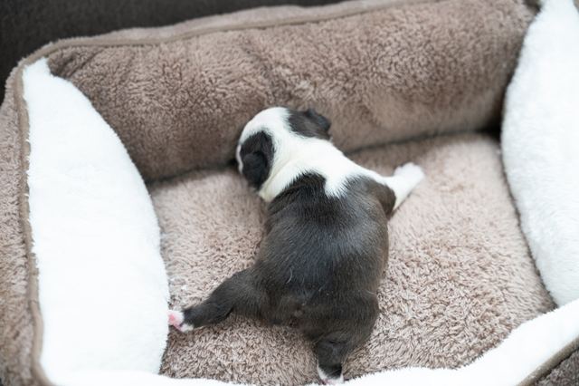 ����å��ǲ�����ɽ��