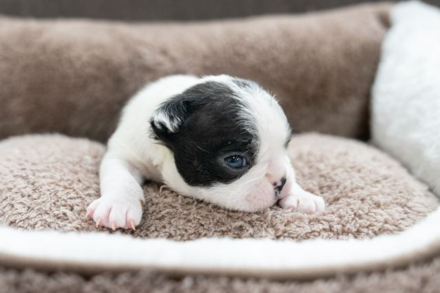 ����å��ǲ�����ɽ��