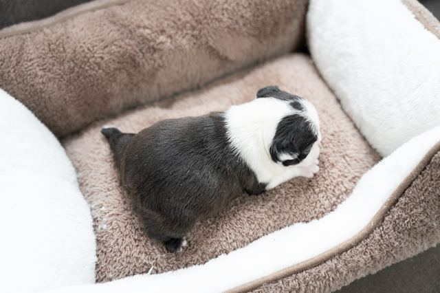 ����å��ǲ�����ɽ��